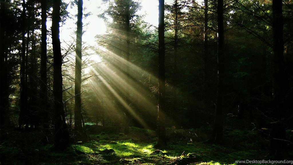 Beautiful Sunrays Wallpapers [Wallpapers Wednesday]   Hongkiat