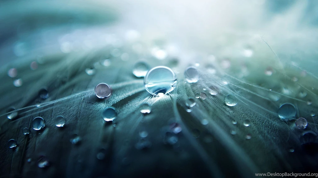 Free HD Wallpapers For Android