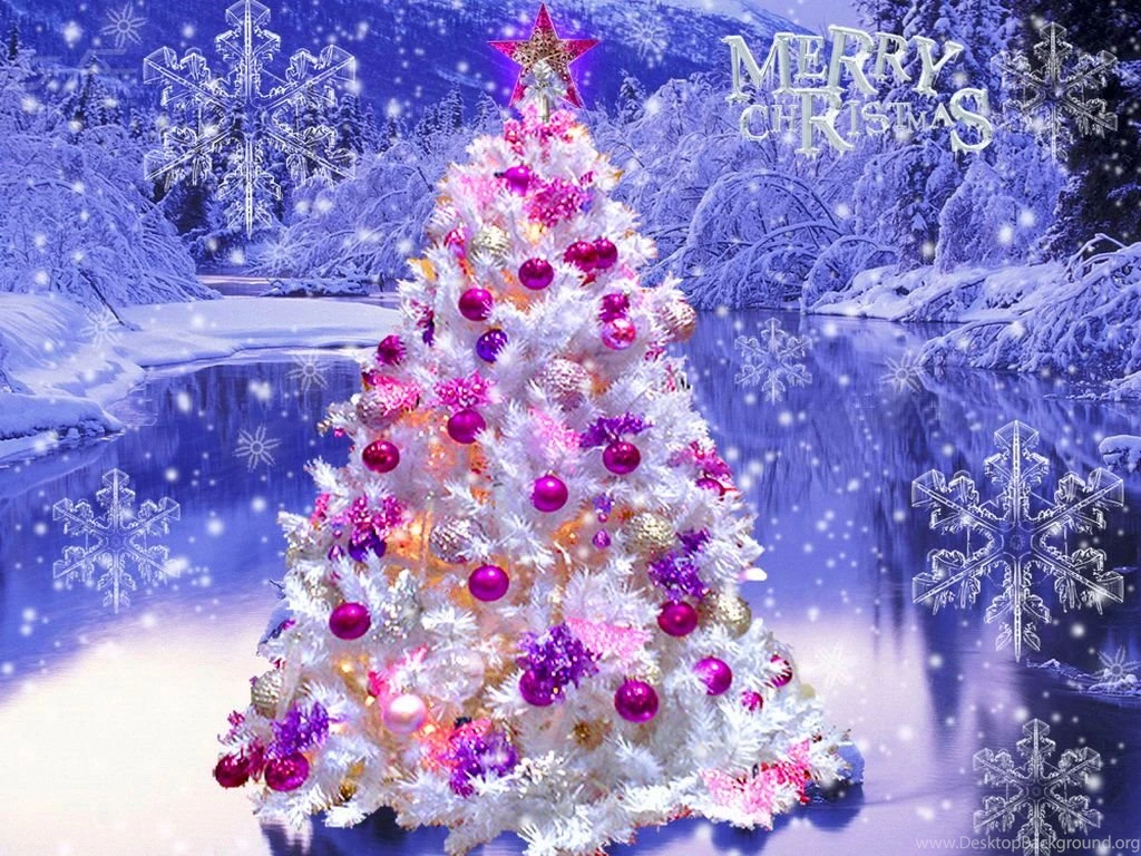 Beautiful Christmas Tree Christmas Wallpapers (27617948) Fanpop