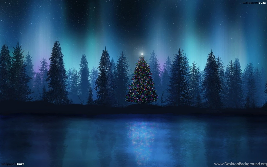 Christmas Tree In A Wood HD Wallpapers