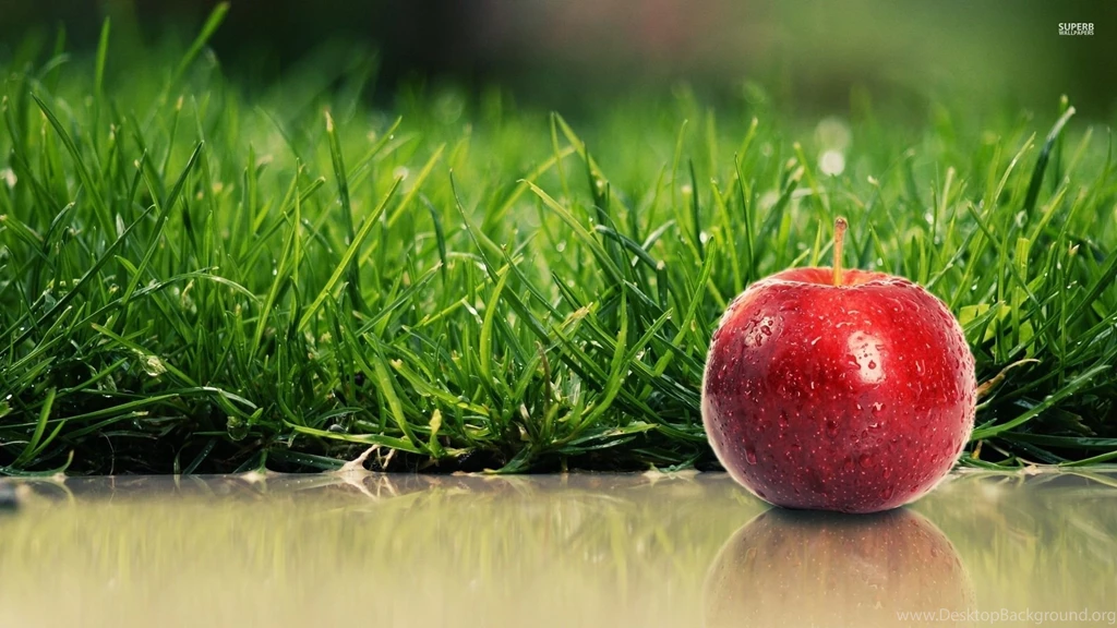 Red Apple With Water Drops By The Green Grass Wallpapers ...