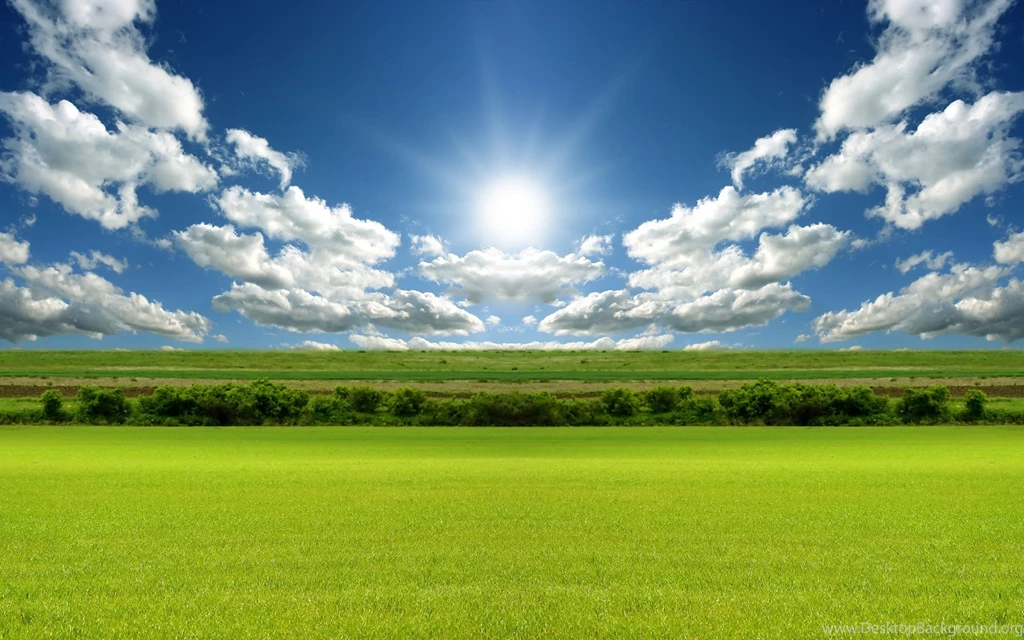 Green Grass Field Wallpaper.