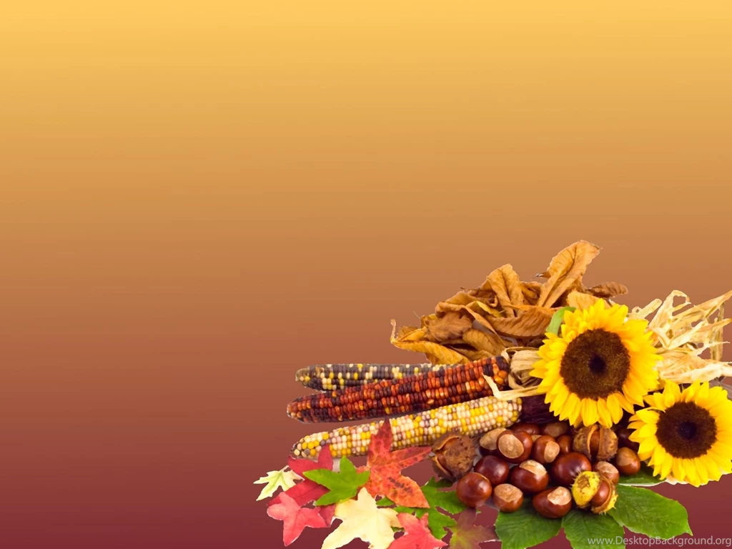 Thanksgiving Backgrounds Wallpapers