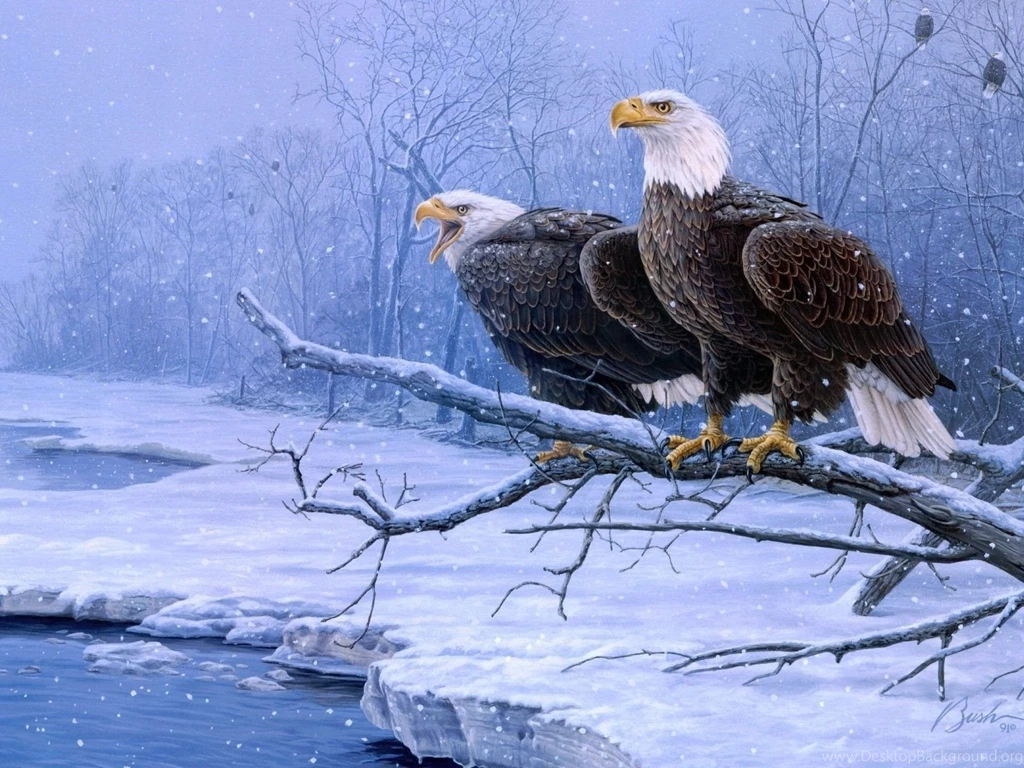 Winter Birds Desktop Wallpapers