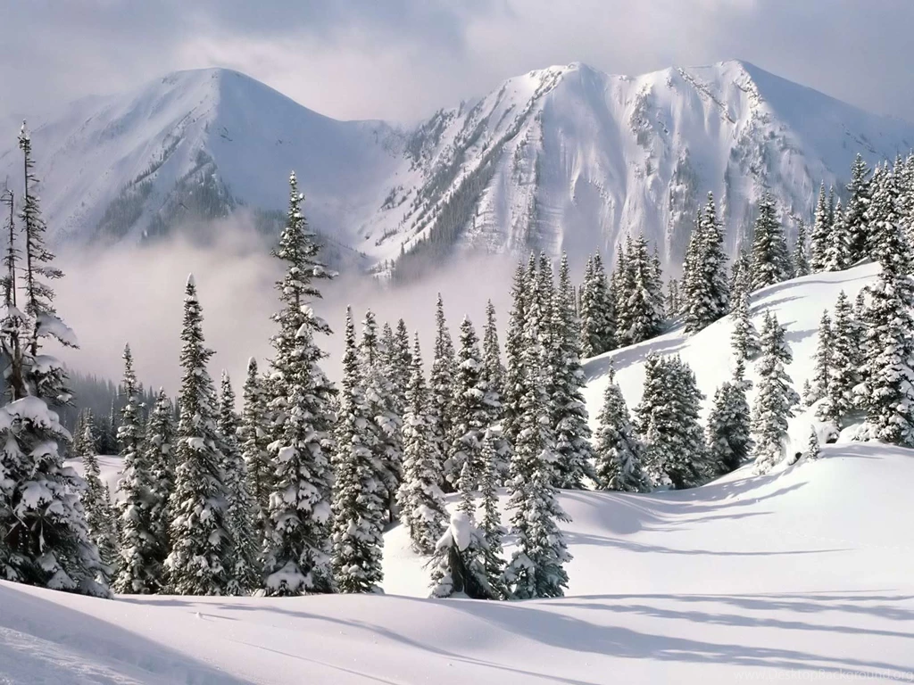 Desktop Wallpaper: Desktop Wallpapers Winter