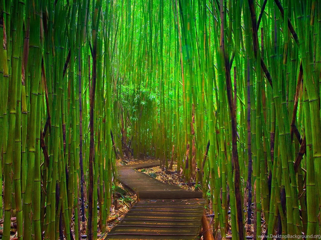 PC Wallpapers: Nature PC Wallpapers