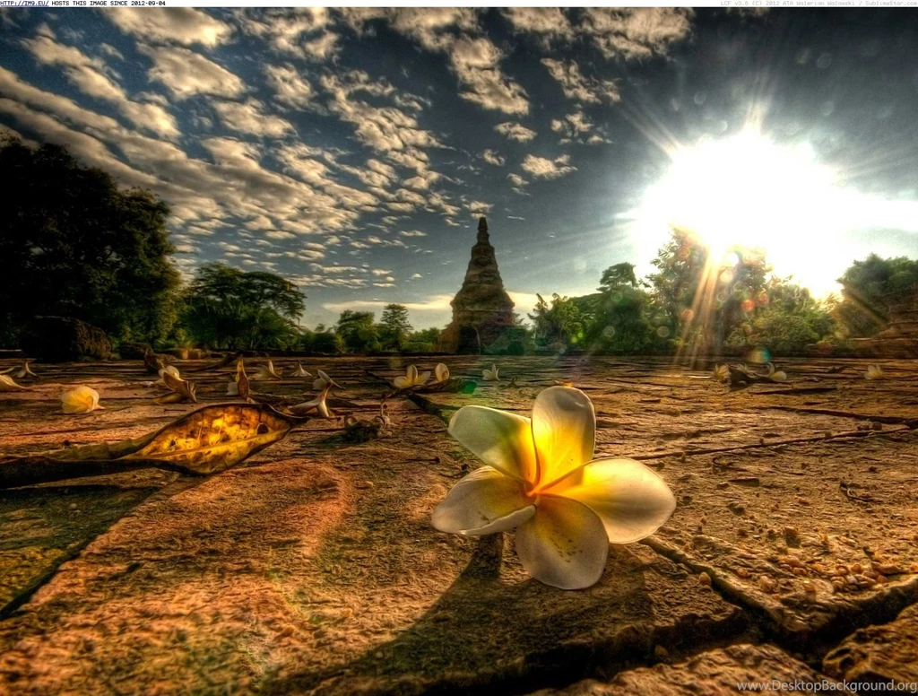 Album: Beautiful Photos And Wallpapers (page 11 Of 13, Full Images)