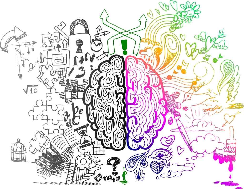 Are You Left Or Right Brained?