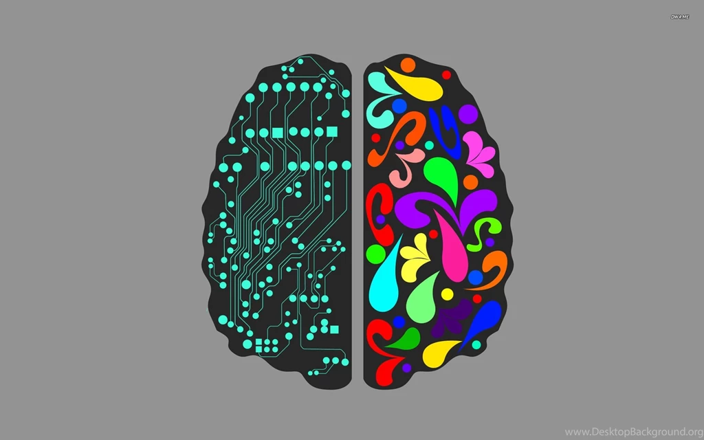 Logical And Creative Brain Hemispheres Wallpapers Vector ...