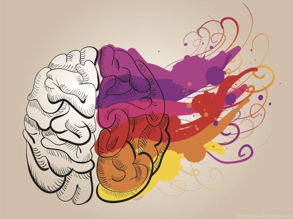 Quotes About People Right Brain. QuotesGram