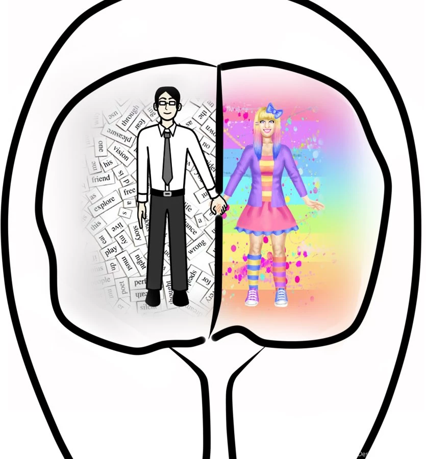 Left Brain And Right Brain By Shiny Duck On DeviantArt