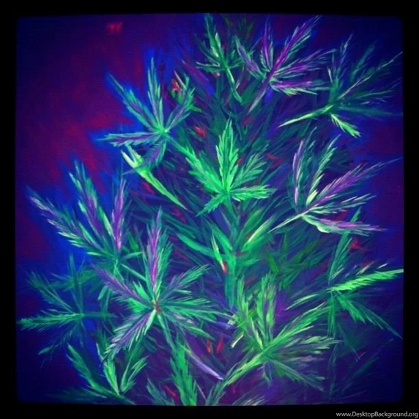 Marijuana Plant By MaryjaneZombie On DeviantArt