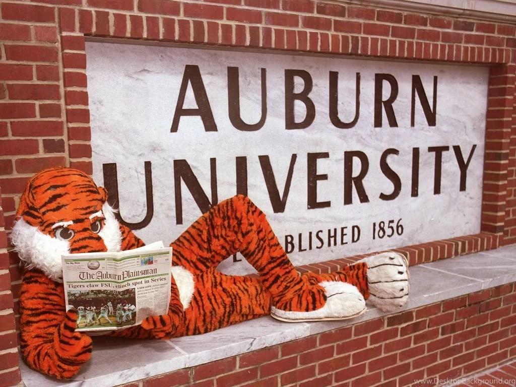 Aubie11024x768.jpg?width=737&height=552