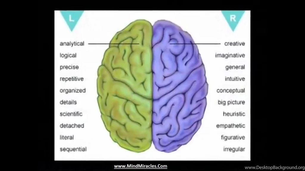 Images : Right Brain Left Brain Test Take The Quiz Brain
