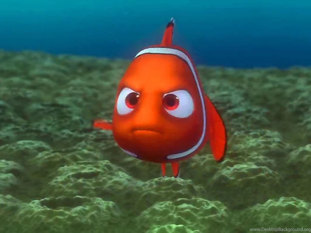 Jacque Finding Nemo Quotes. QuotesGram