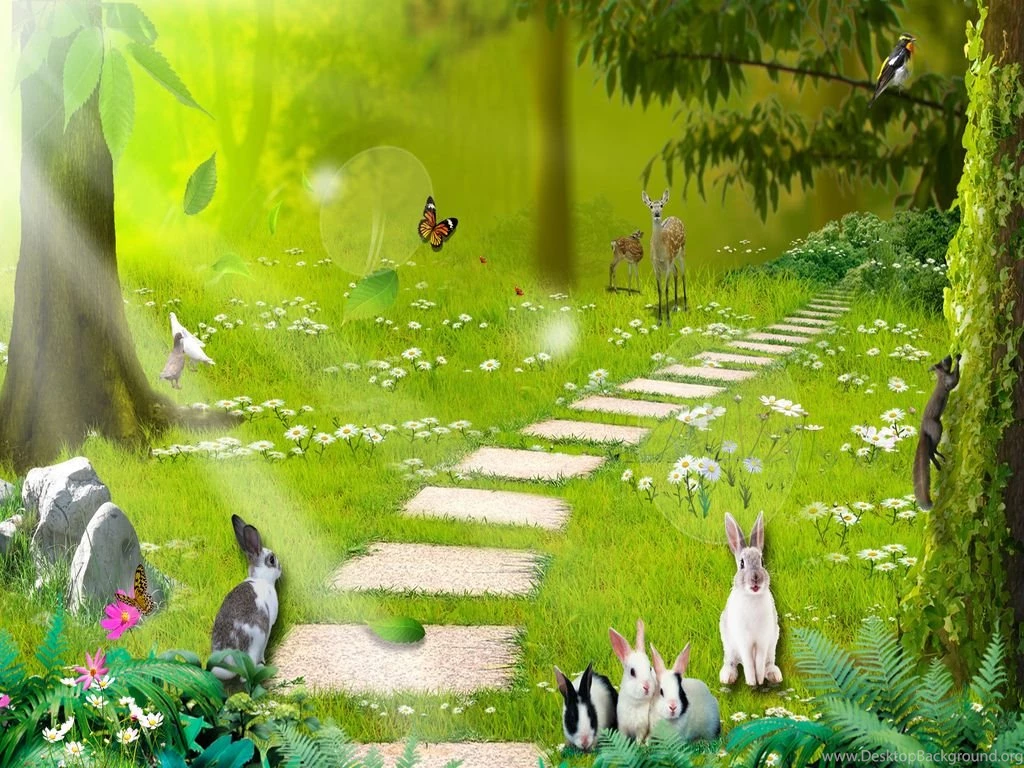 Enchanted Forest Wallpapers Download The Free New Enchanted Forest ...