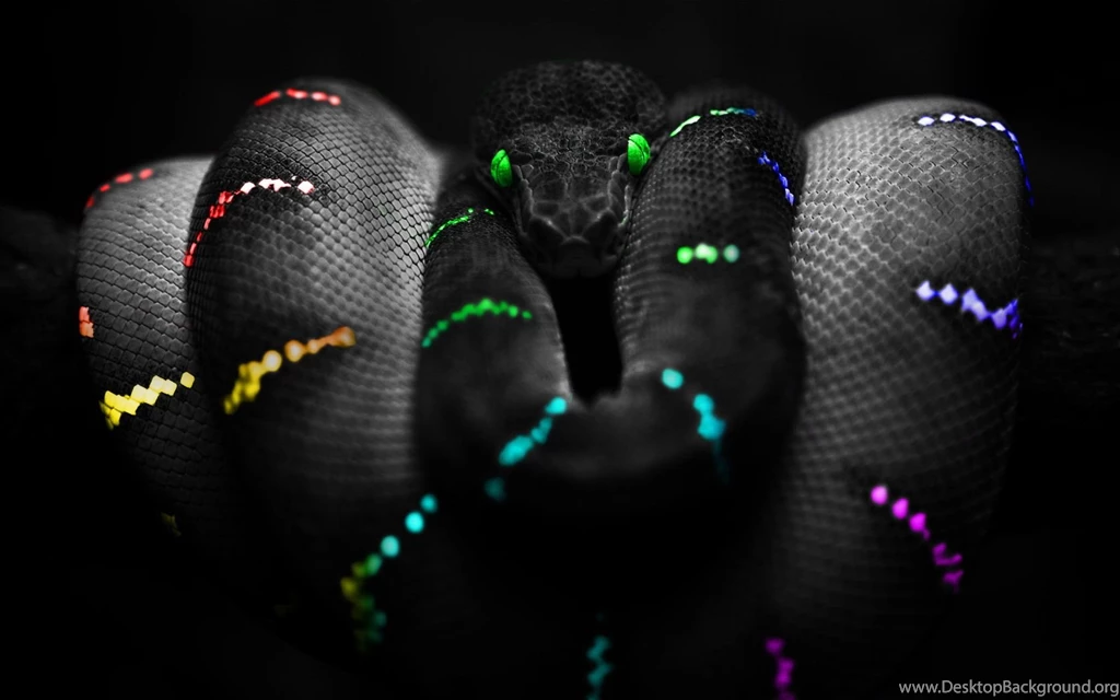 Desktop Diamondback Rattlesnake Images Wallpapers