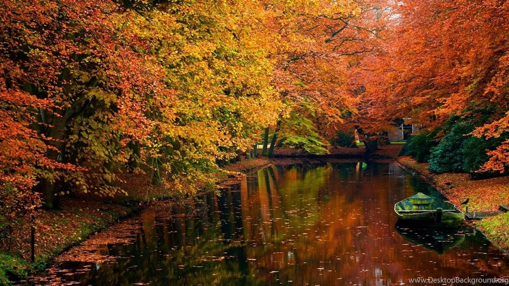 Fall Wallpapers Free 61B WallPey