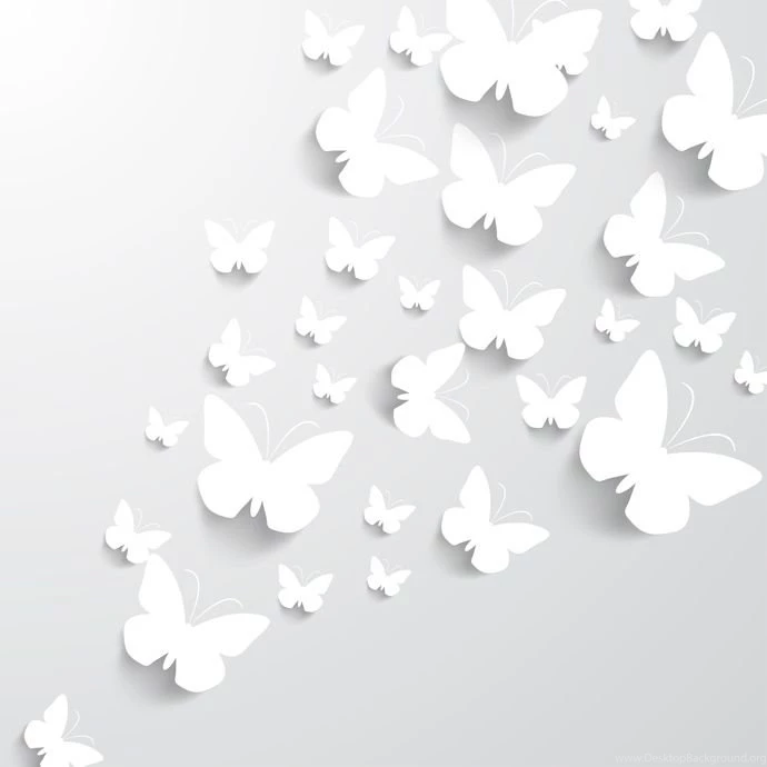 My Blog