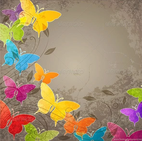 Stock Vector GraphicRiver Butterflies And Floral Ornament ...