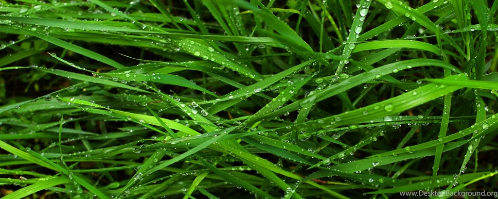 Desktop Wallpaper: Monitor Wallpapers