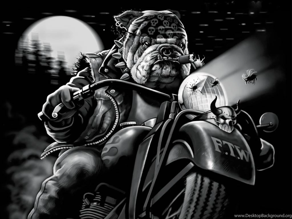 BIKER DOG WALLPAPER (