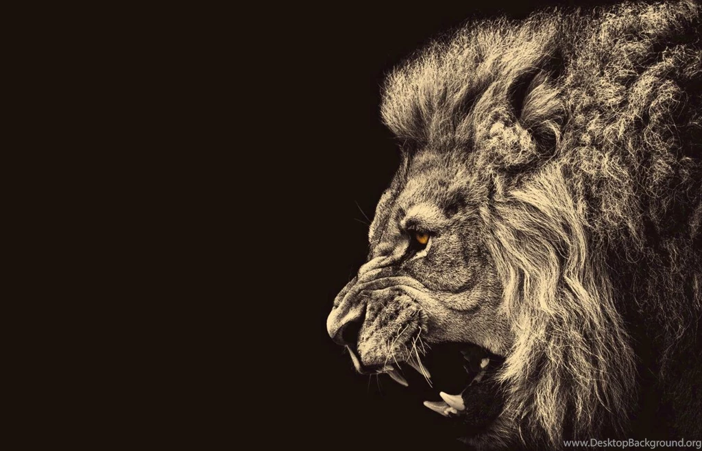 Lion (
