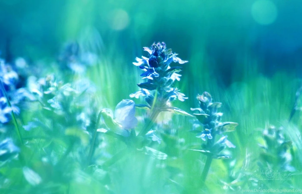 Nature Wallpapers 1400x900 (