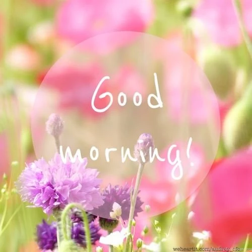 Good Morning Images Pictures