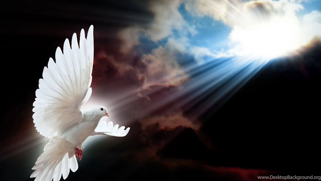 White Dove Holy Spirit Wallpaper.