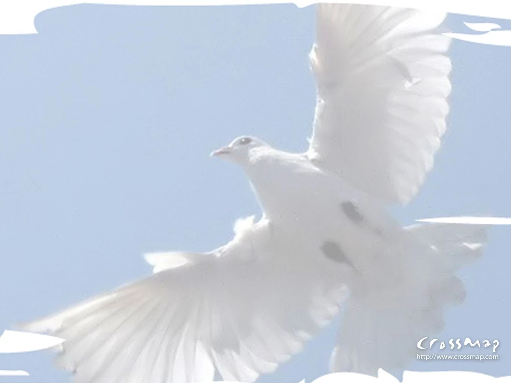 Holy Spirit Dove 5