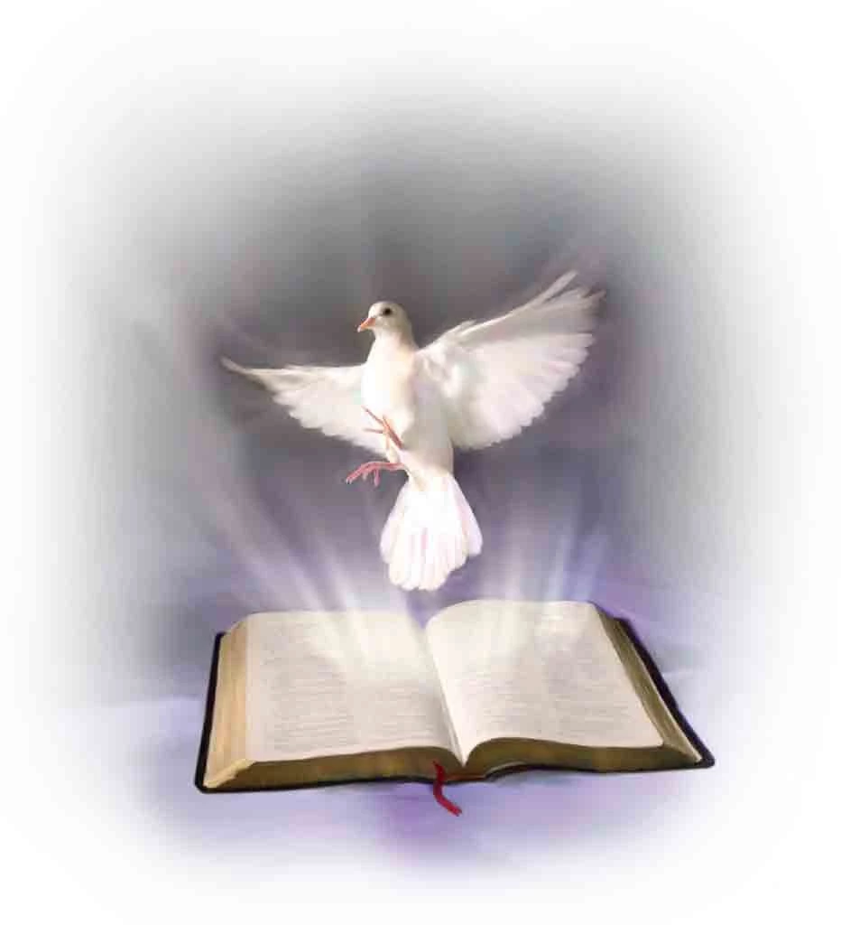 Holy Spirit Quotes Bible Quotesgram Desktop Background