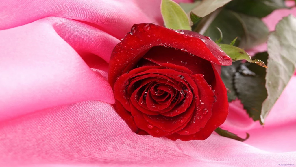 HD Desktop Wallpapers Pictures Collection Free Download ...