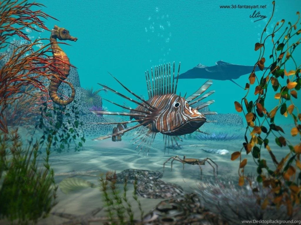 Wallpapers For Coral Reef Wallpapers Iphone