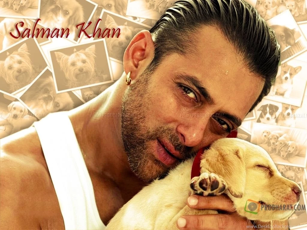 Salman Khan, Salman Khan Wallpapers Download, Wallpapers Of Salman ...