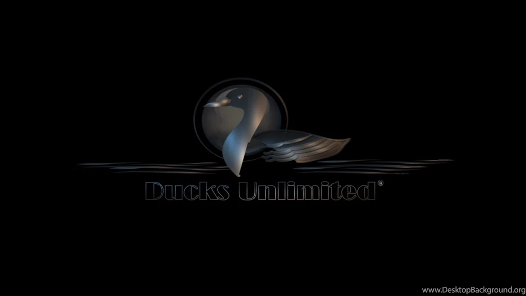 Ducks Wallpapers Iphone Images