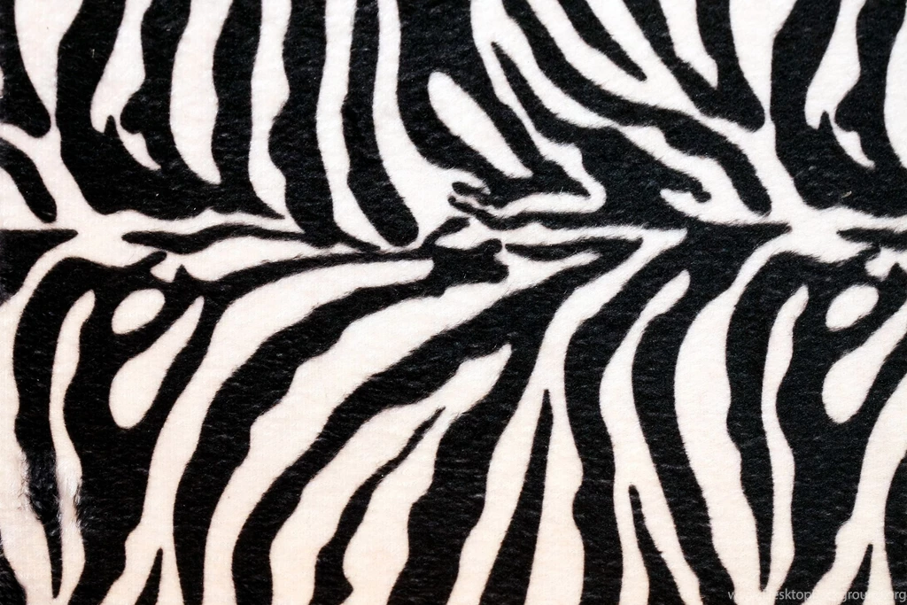 Zebra Print Wallpapers Cool Wallpapers