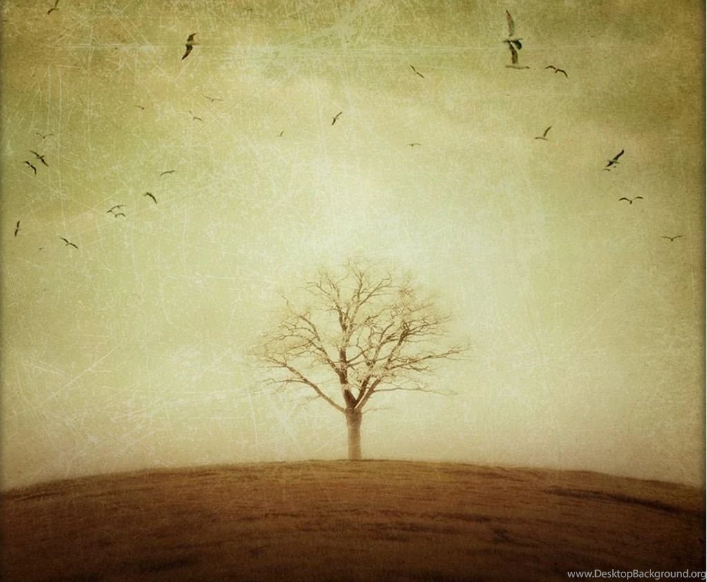 Makeup Wallpapers For Walls