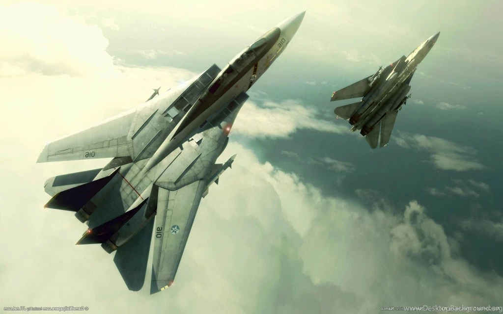 Ace Combat, Ace Combat 5: The Unsung War, F 14 Tomcat, Video Games ...