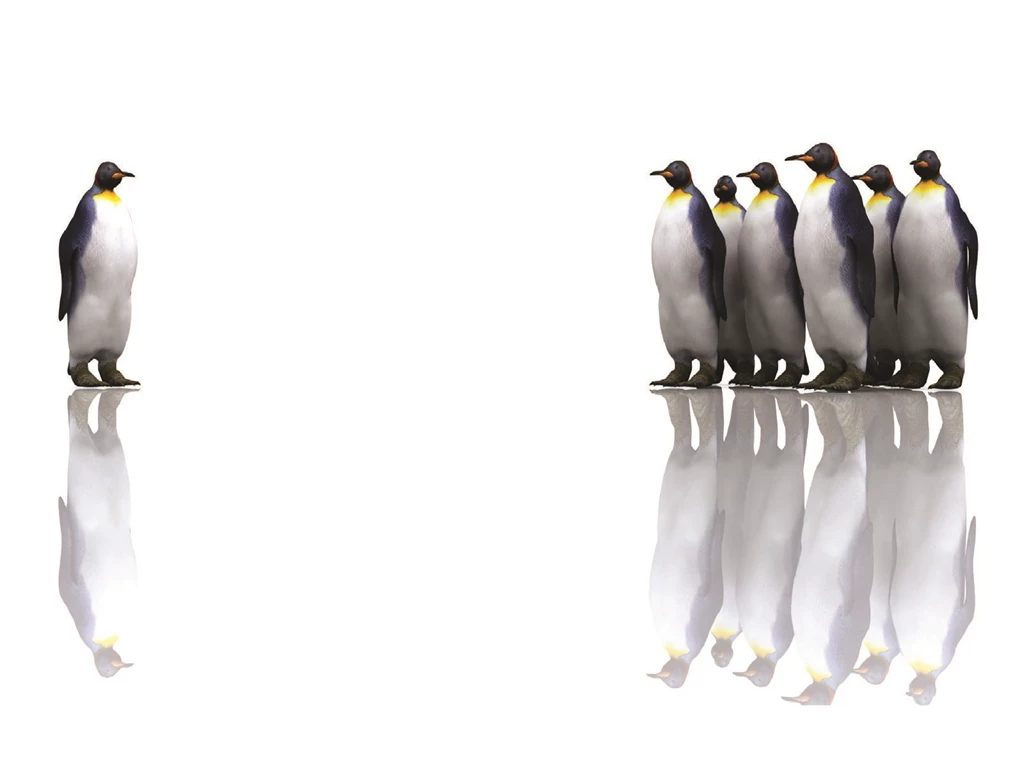 Business Penguins Backgrounds PPT Backgrounds