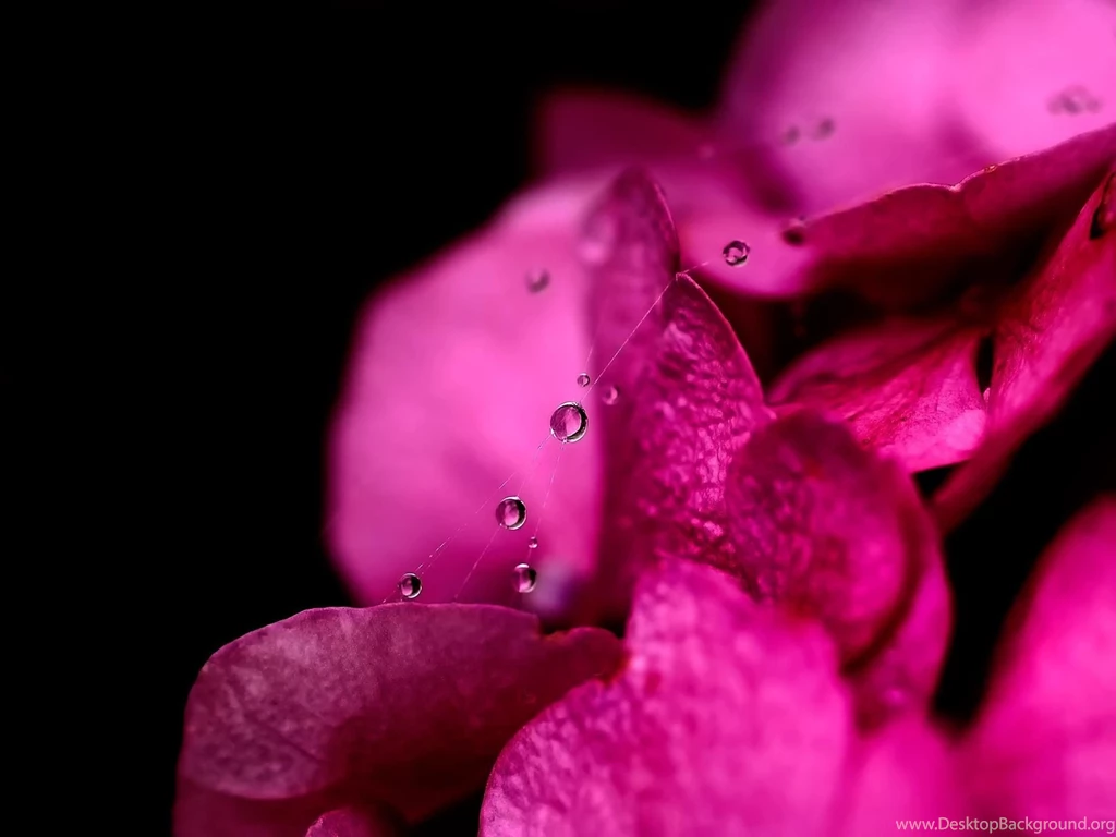 Bold Wallpapers >> Backgrounds With Quality HD