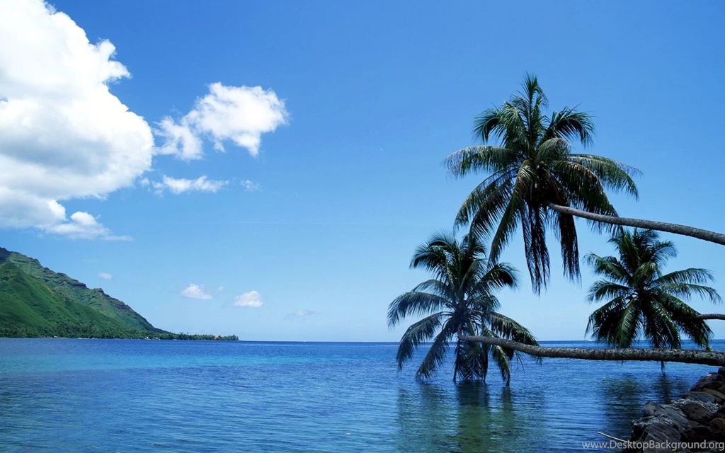 Sea Desktop HD Wallpaper, Sea Images Free, New Wallpapers