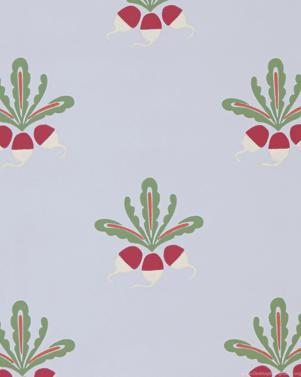 Radish Wallpapers Wallpapers