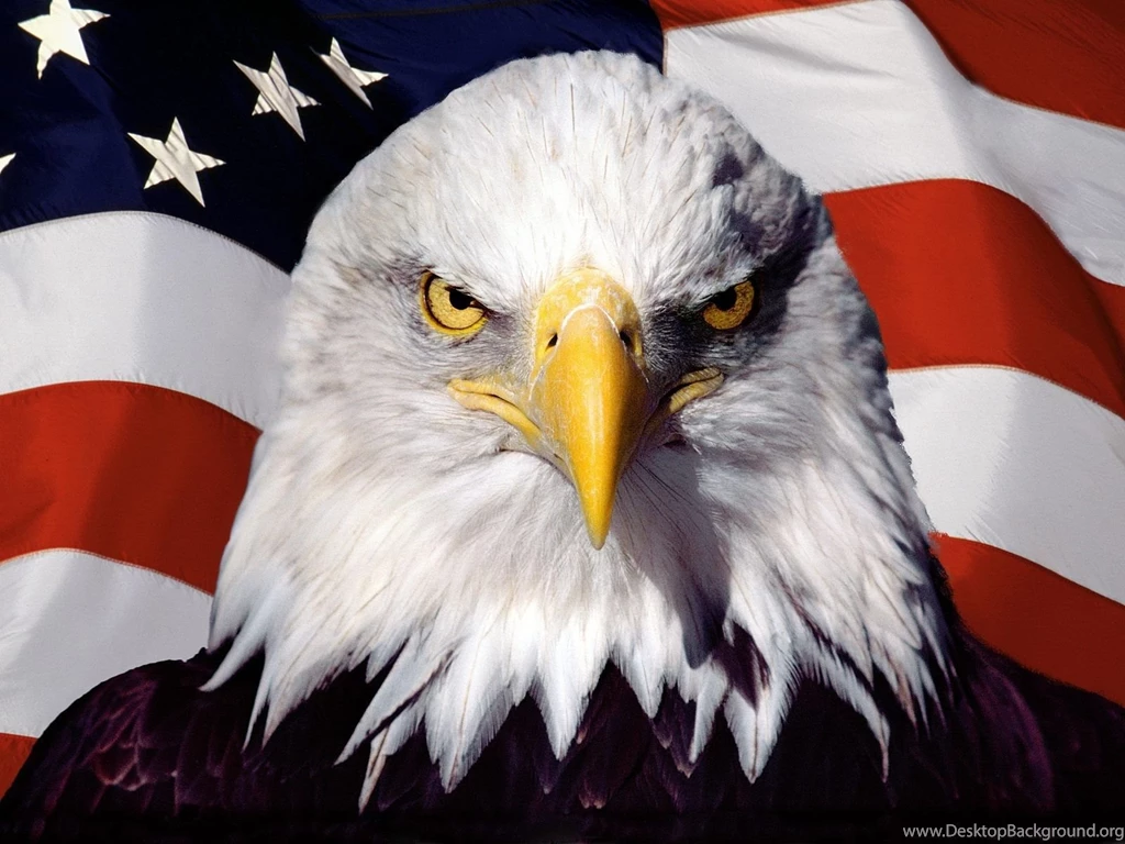 4th Of July Wallpapers, 40 Patriotic Desktop ...