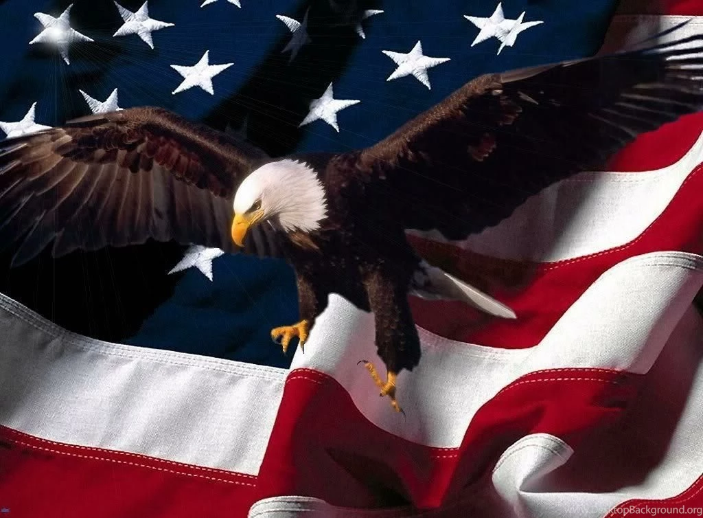 Gorgeous American Patriotic Eagle With Usa Flag