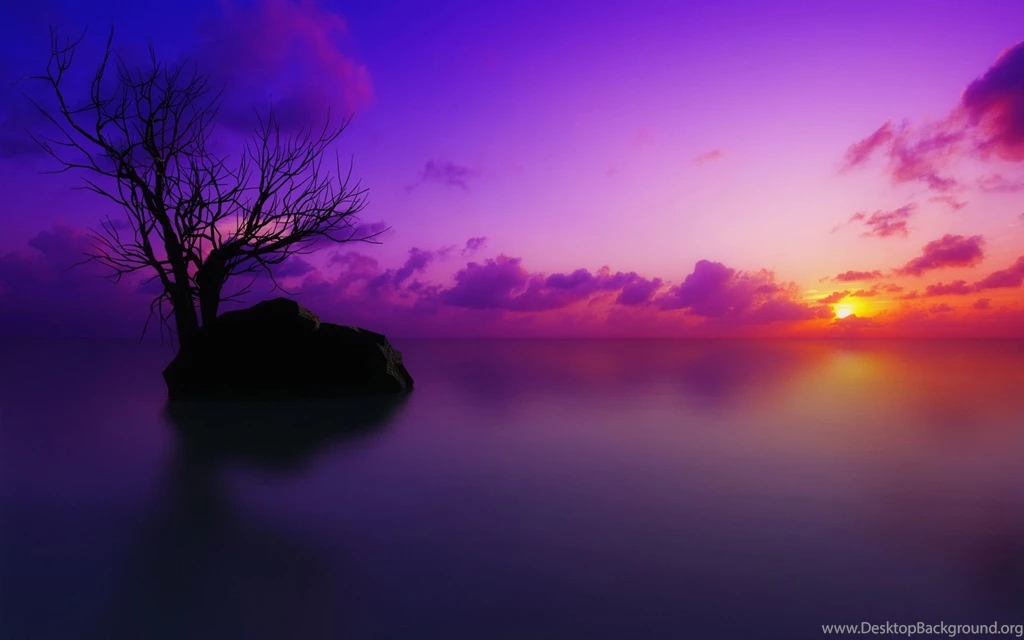 Beautiful Landscape Under Sunset HD Wallpapers