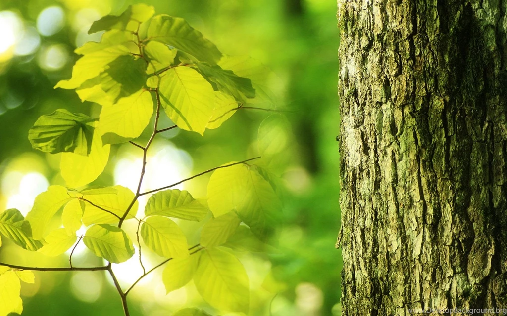 Dark Prairie Wallpapers 23528   Wallpapers Landscape Scenery ...