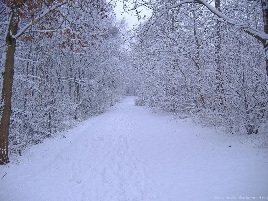 Free Winter Background Images Wallpapers HD Base