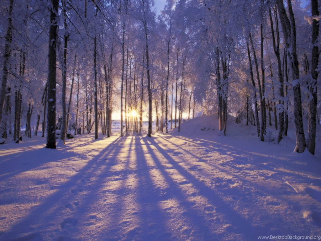 Christmas Winter Scenes Wallpapers Wallpapers Cave