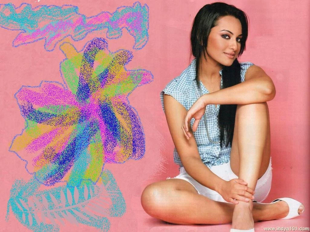 Sonakshi Sinha Wallpapers (1024x768) : Indya101.com